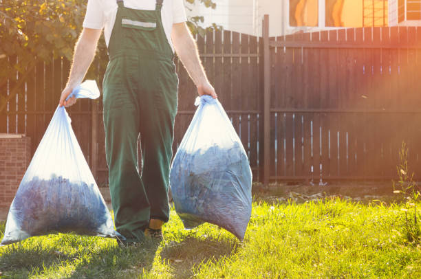 Best Electronics and E-Waste Disposal  in Parsons, WV