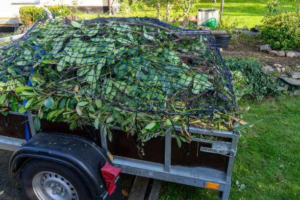 Best Same-Day Junk Removal Services  in Parsons, WV